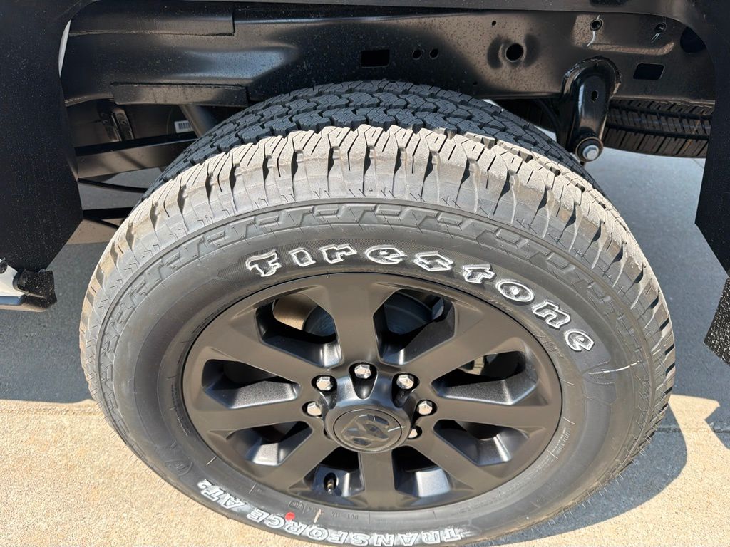 Ram250011