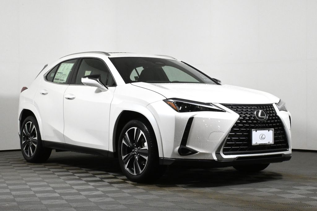 2025 Lexus UX 300h 9