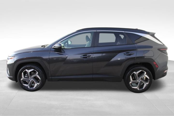 Used Car 2023 Hyundai Tucson  Sel For Sale Under $25,000 In Georgetown, Texas