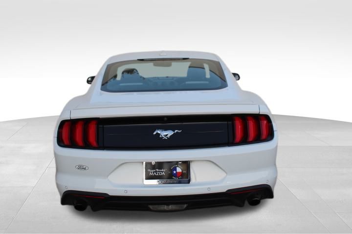 Used Car 2020 Ford Mustang  Ecoboost For Sale Under $25,000 In Georgetown, Texas