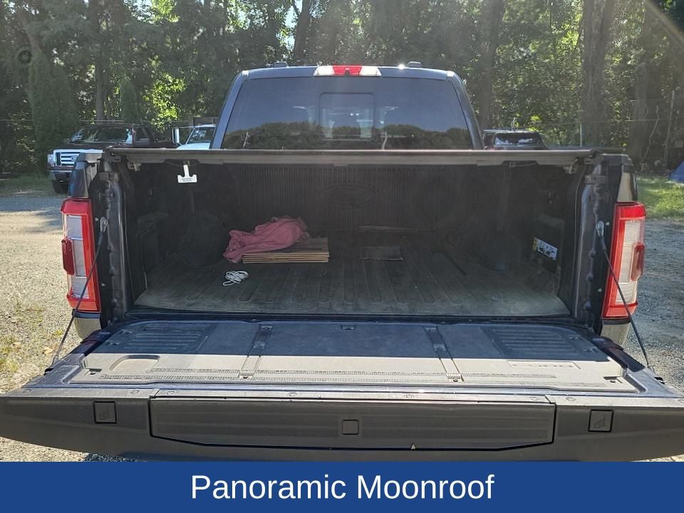 2022 Ford F-150 Platinum