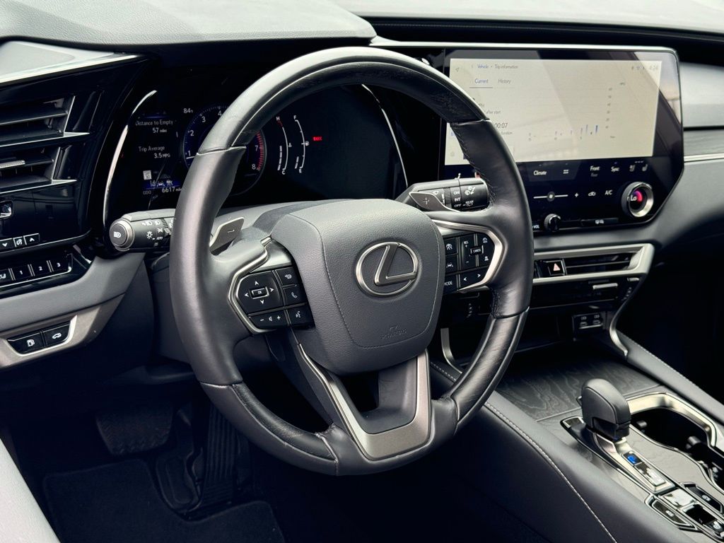 2024 Lexus RX 350 Premium 17