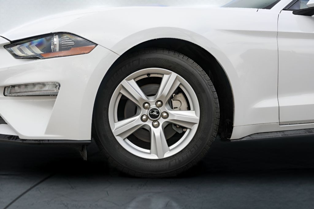 Used Car 2019 Ford Mustang  Ecoboost For Sale Under $20,000 In Austin, Texas