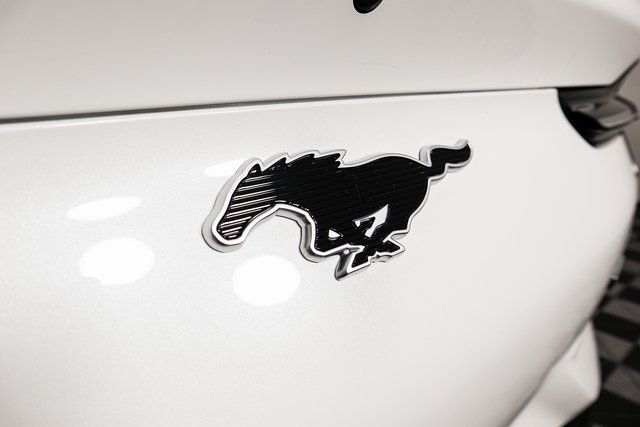 New 2023 White Ford California Route 1 image 11