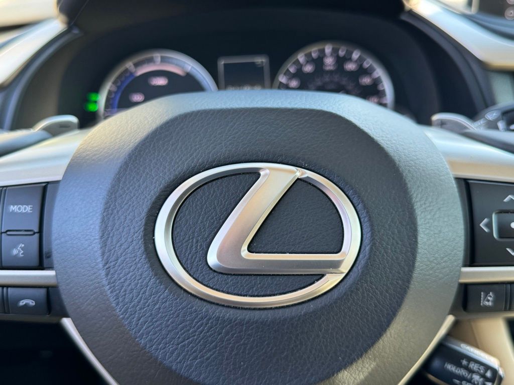 2021 Lexus RX 450h 30