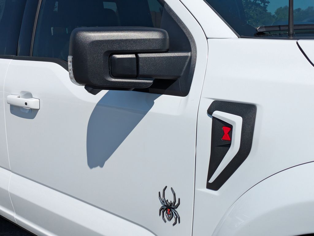 2026 Ford F-150 Black Widow