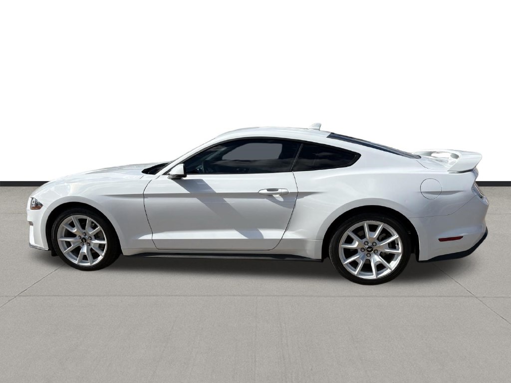 2023 Ford Mustang EcoBoost Premium White at Emmons Autoplex
