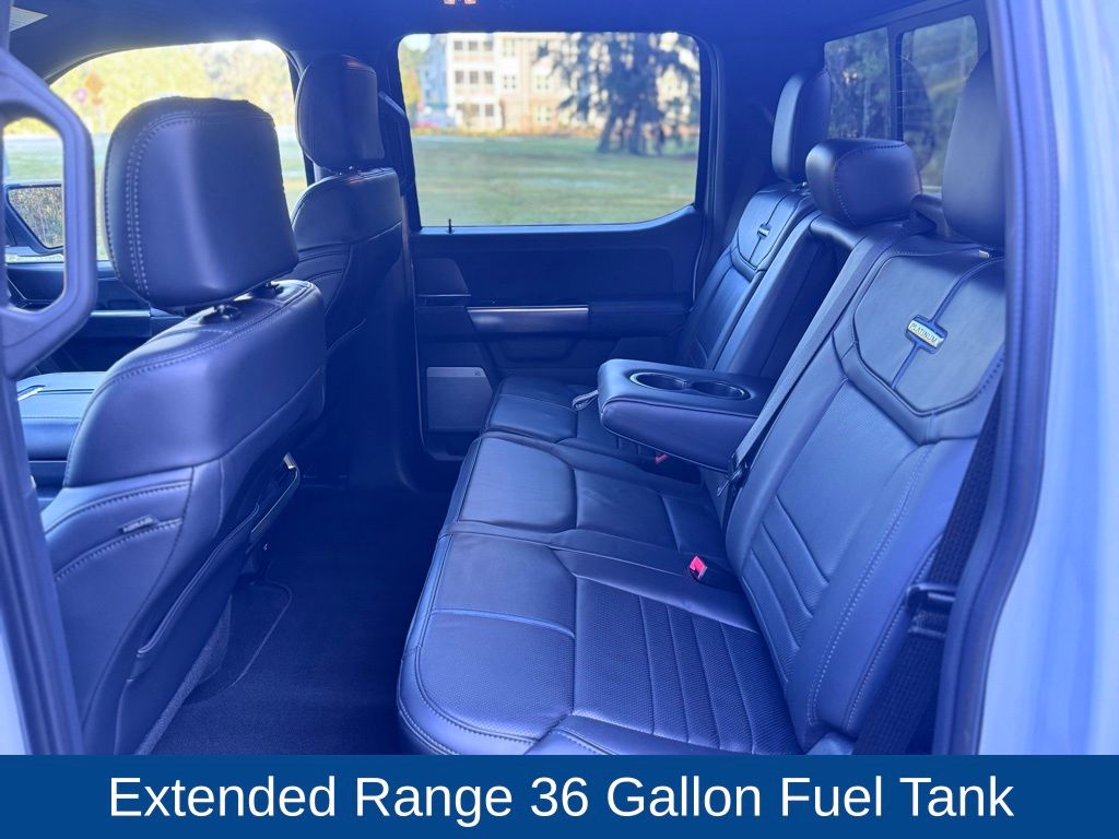 2025 Ford F-150 Platinum