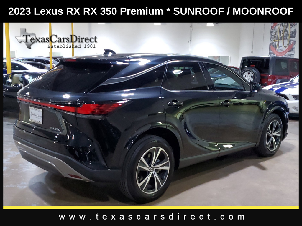 2023 Lexus RX 350 Premium 10