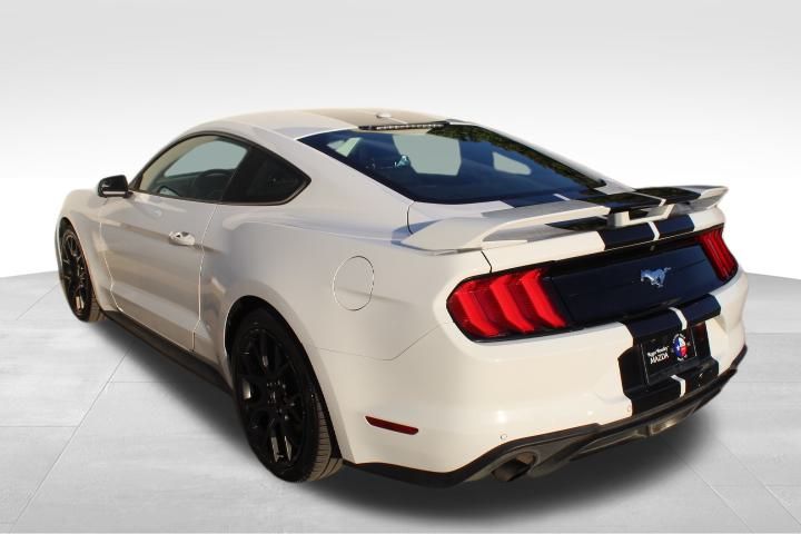 Used Car 2019 Ford Mustang  Ecoboost Premium For Sale Under $25,000 In Georgetown, Texas