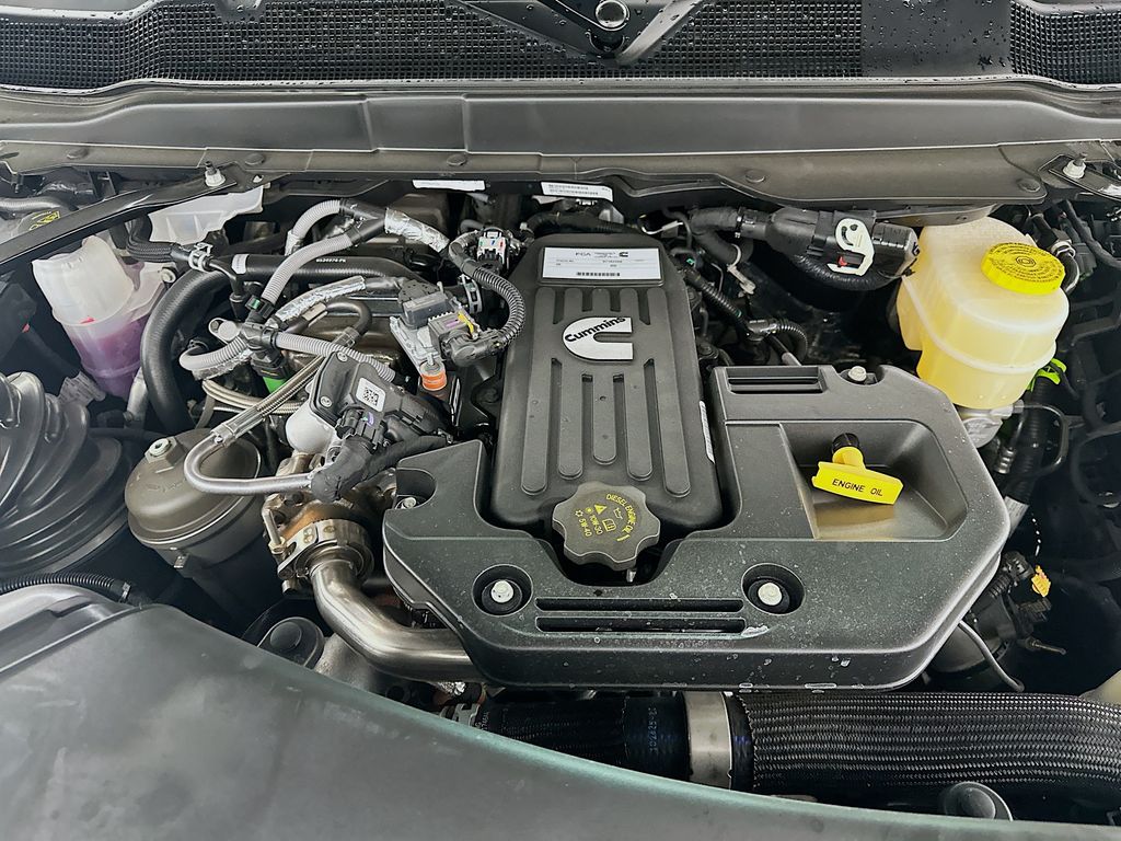 New 2026 Black Ram Big Horn 12in image 18