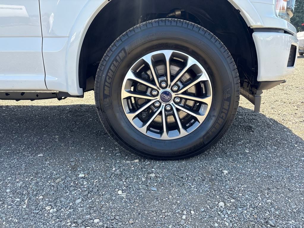 2019 Oxford White Ford F-150 XLT 4X4 Truck
