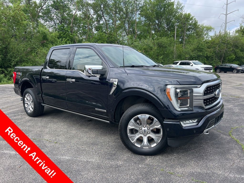 2021 Ford F-150 Platinum 4x4 SuperCrew 5-1/2 Box's photo