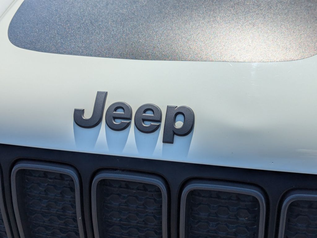 2019 Jeep Renegade Trailhawk 11