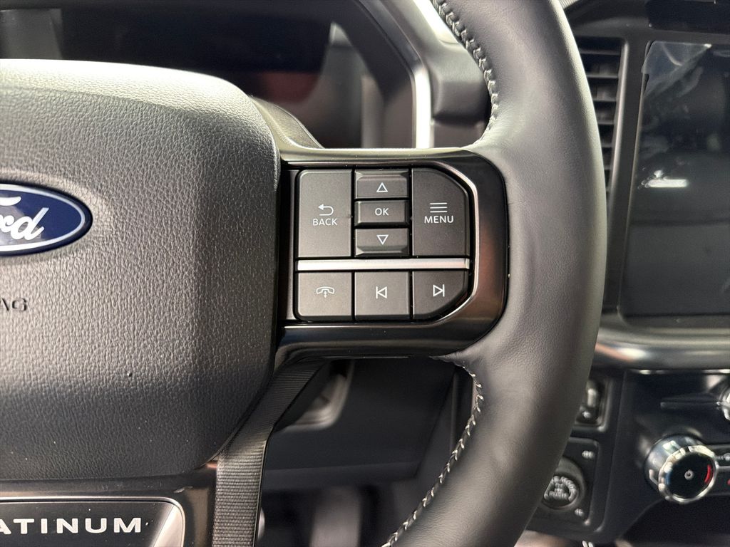 New 2026 Black Ford Platinum image 20