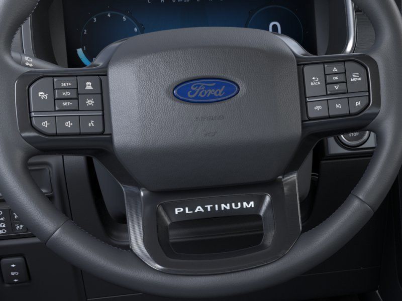 New 2025 Black Ford Platinum image 12