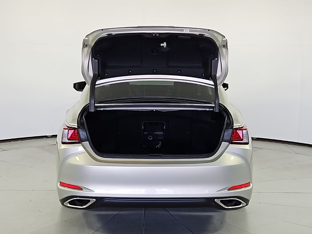 Thumbnail: 2019 Lexus ES - 10