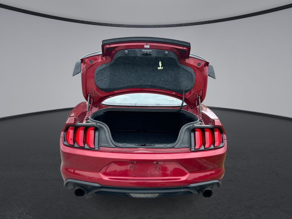 Thumbnail: 2019 Ford Mustang - 28