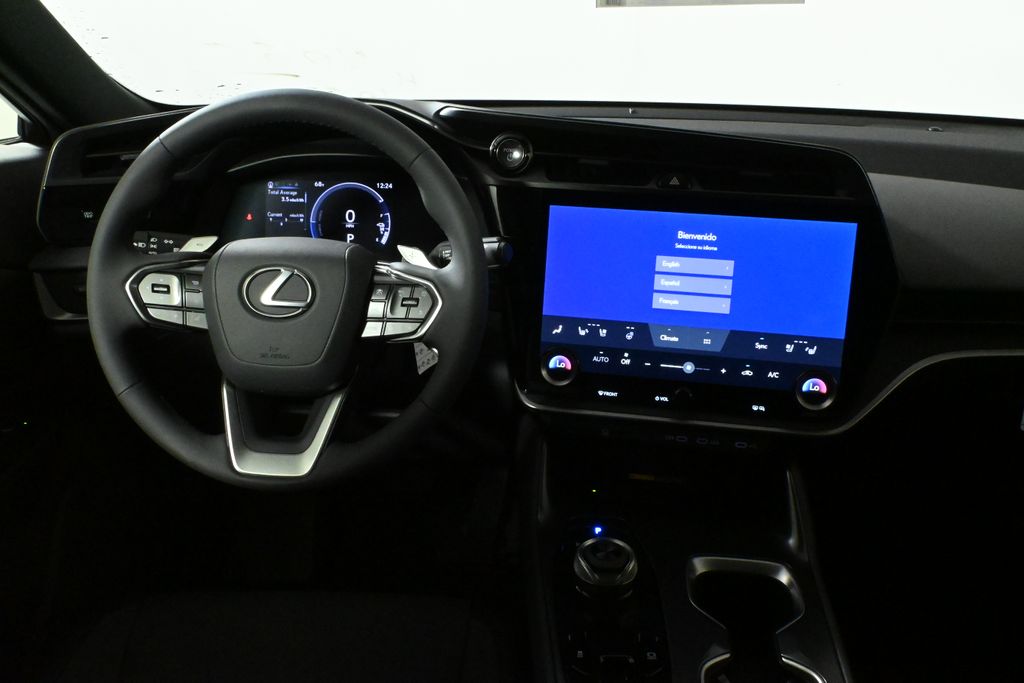 2025 Lexus RZ  18