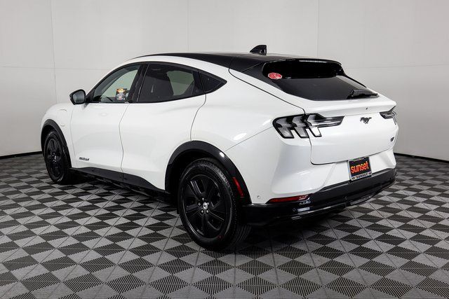 New 2023 White Ford California Route 1 image 5