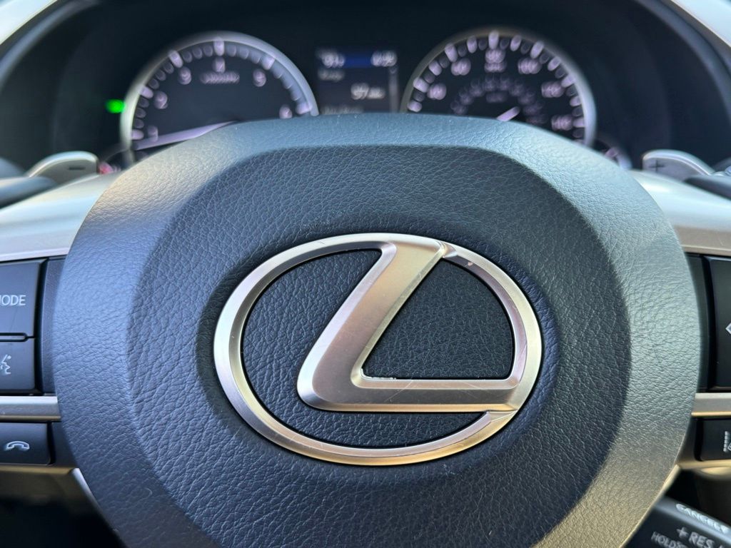 2020 Lexus RX 350L 30