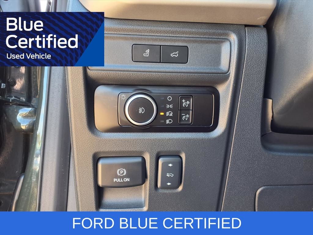 2023 Ford Expedition Max XLT Green at Wharton Ford