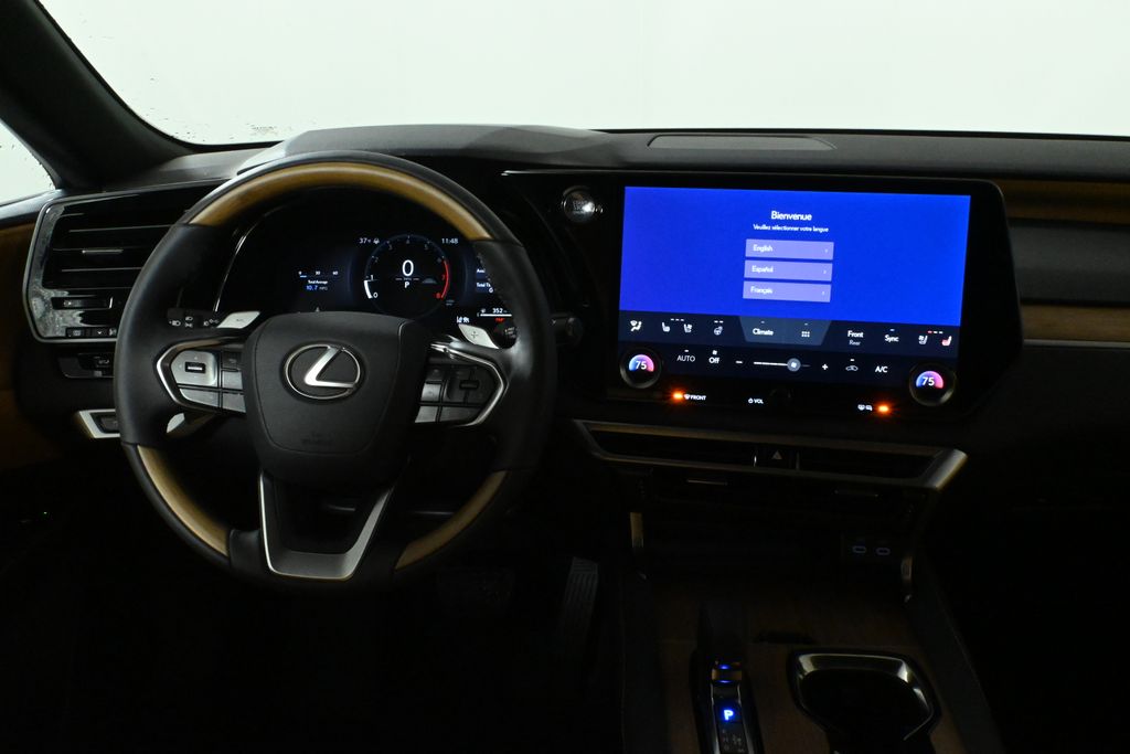 2025 Lexus RX 350 17