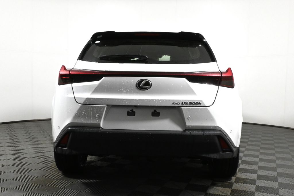 2025 Lexus UX 300h 6