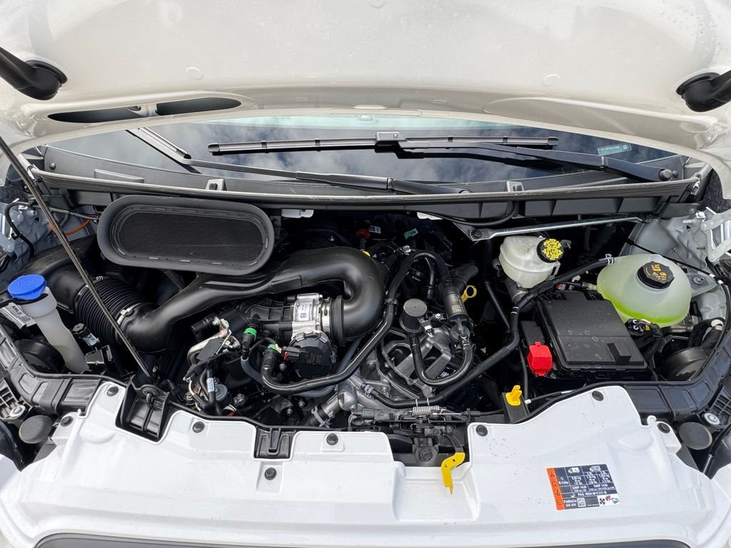 New 2026 White Ford  image 36