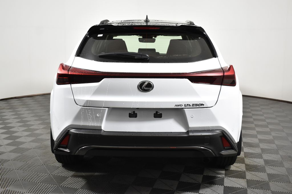 2024 Lexus UX 250h 6