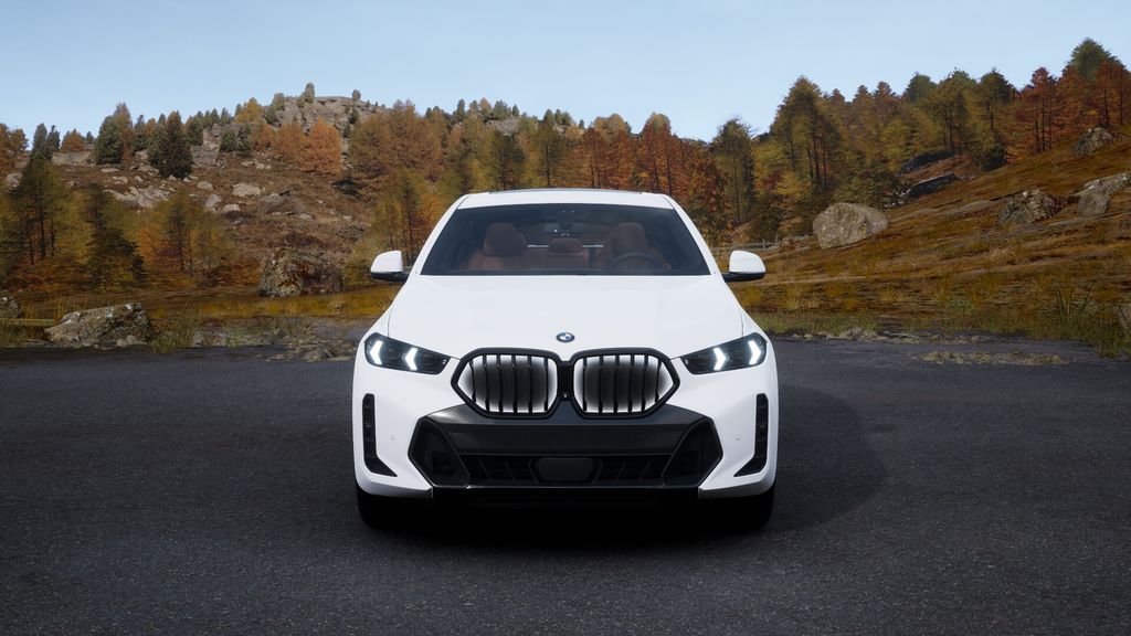 2025 BMW X6 xDrive40i 3