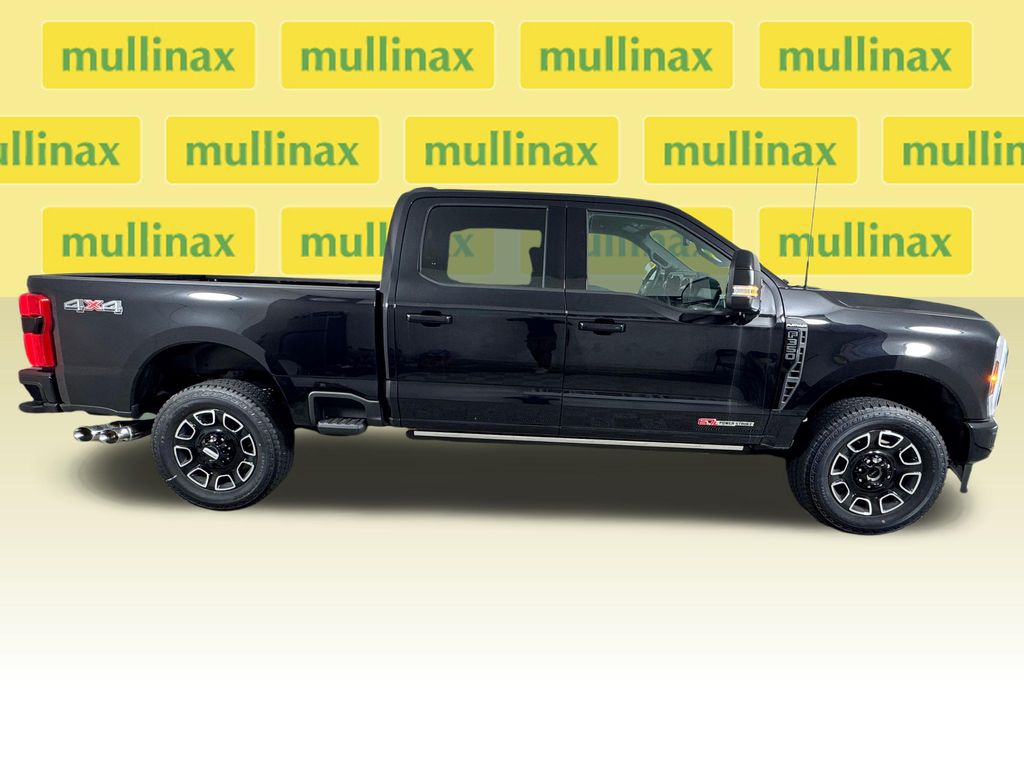 New 2026 Black Ford Platinum image 19