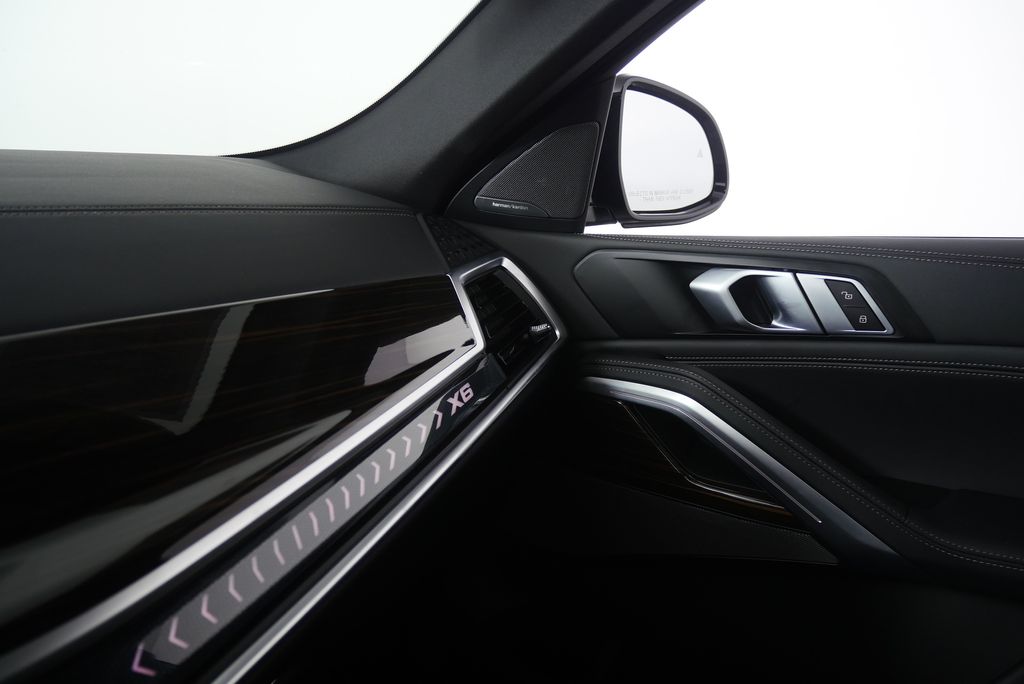 Thumbnail: 2025 BMW X6 - 31