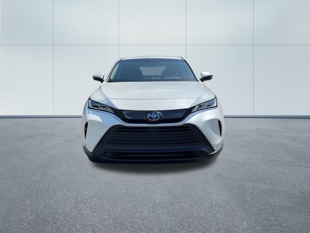 Venza LE