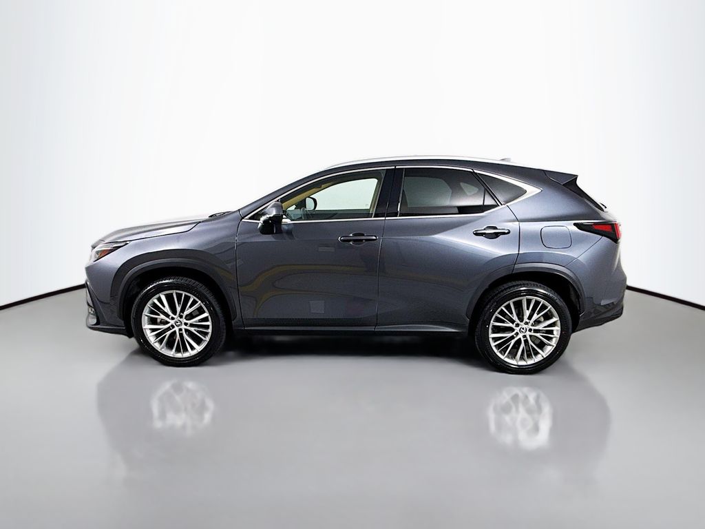 Thumbnail: 2024 Lexus NX - 8