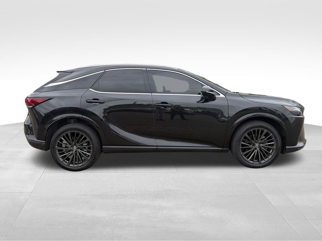 2025 Lexus RX 350h Premium - 6