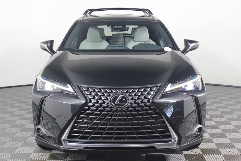 2025 Lexus UX 300h 2