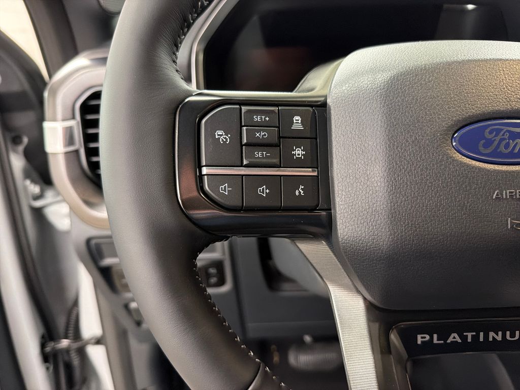 New 2026 White Ford Platinum image 19