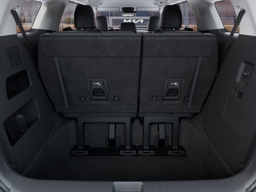 New 2025 Panthera Metal Kia LXS image 19