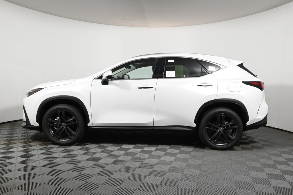 Thumbnail: 2025 Lexus NX - 2