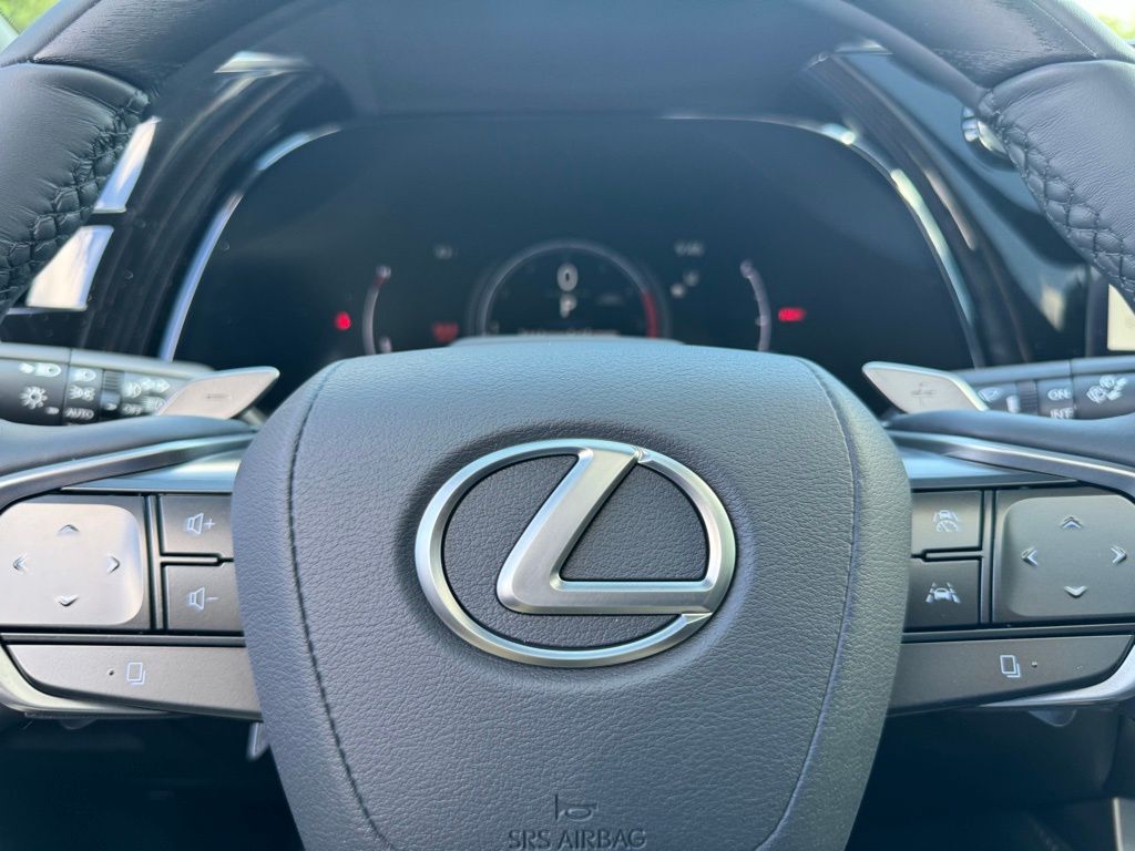 2024 Lexus RX 350 Luxury 25