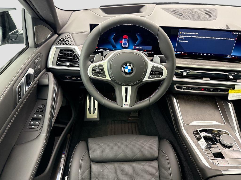 Thumbnail: 2027 BMW X6 - 10
