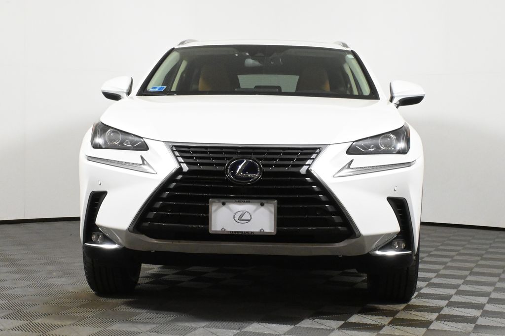 2020 Lexus NX Hybrid 300h 10