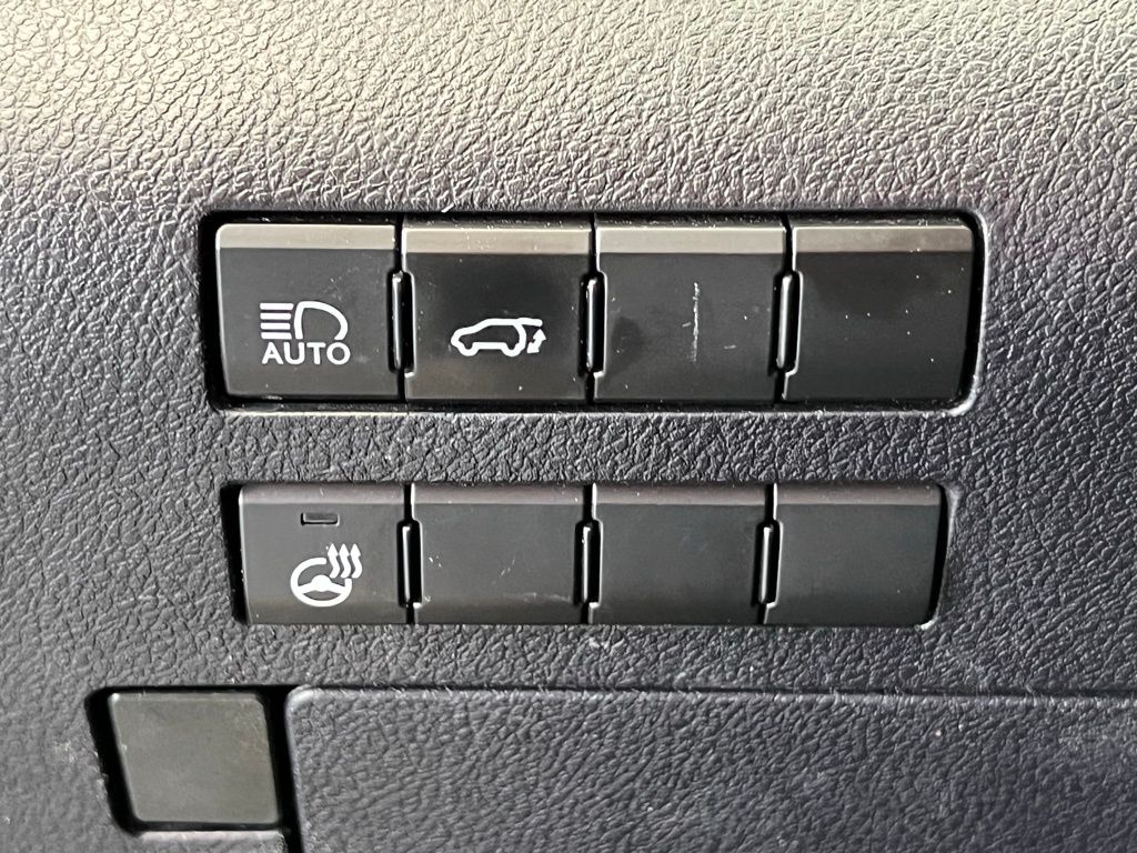 2019 Lexus RX 350 Sport Handling 19