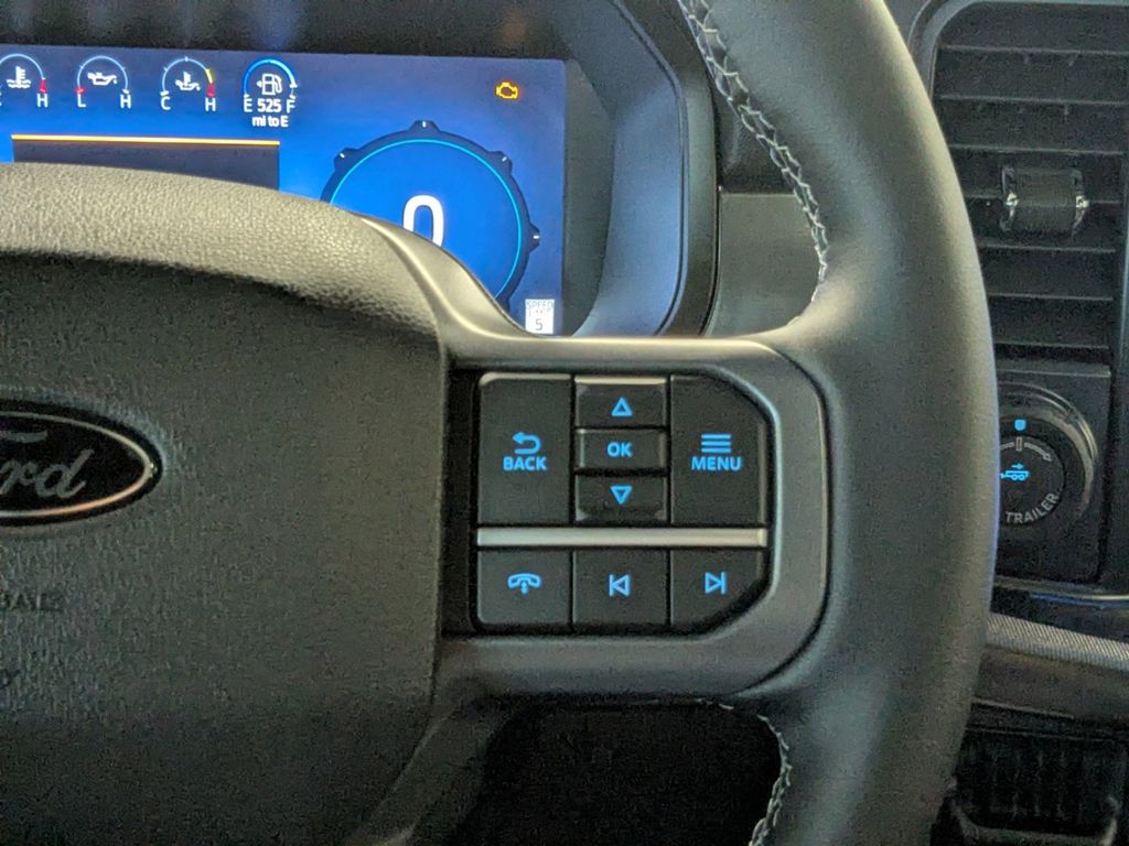 2025 Ford F-150 Black Widow