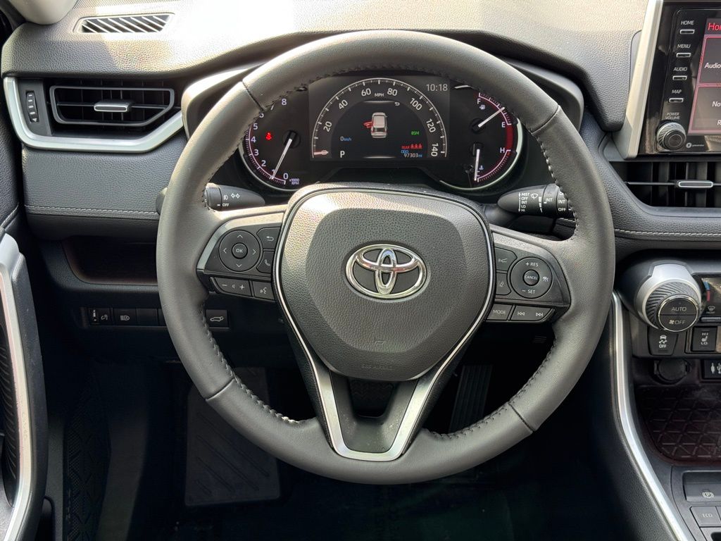 2019 Toyota RAV4 Limited 17