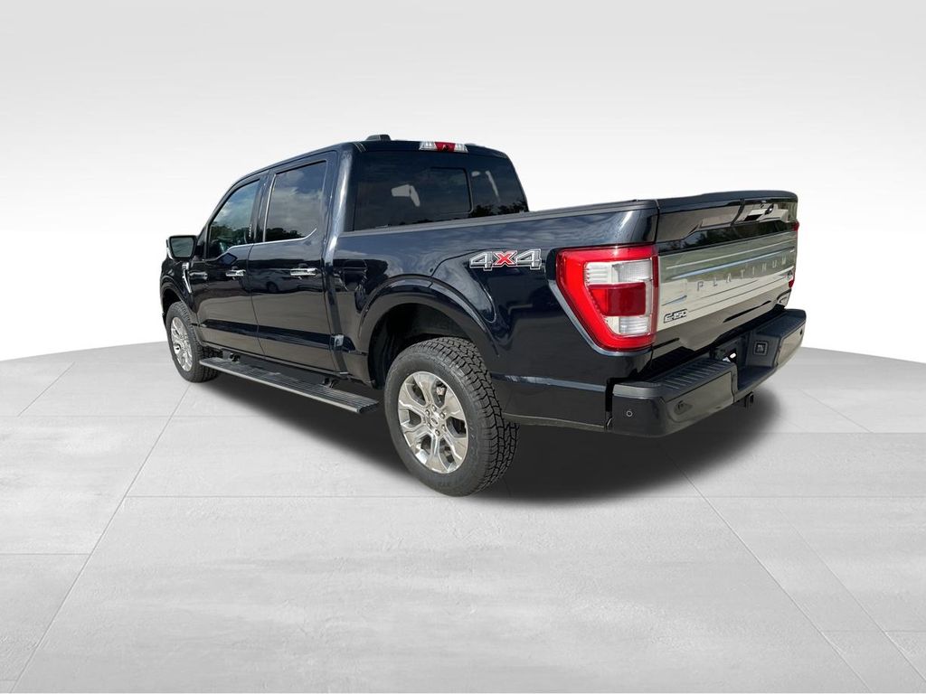 2021 Ford F-150 Platinum 6