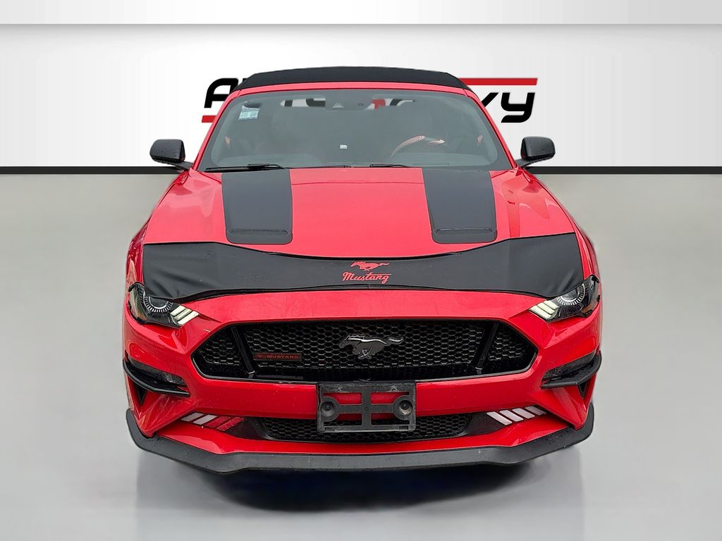 Used 2019 Red Ford GT Premium image 2