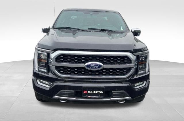 2021 Ford F-150 Platinum 3