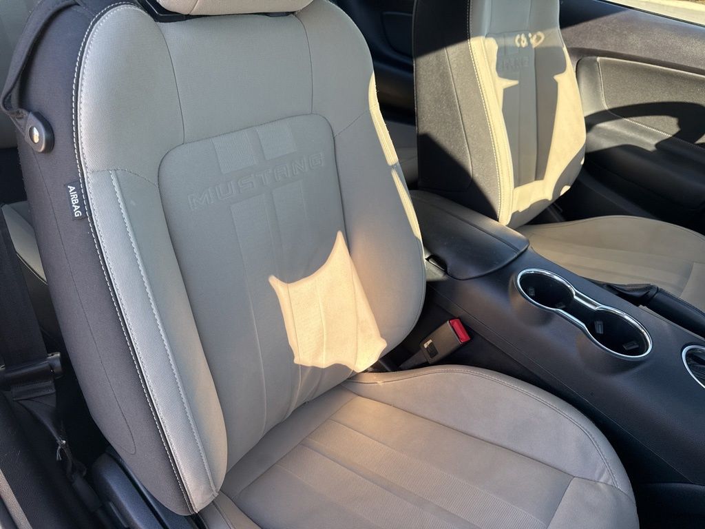 2019 Ford Mustang EcoBoost
